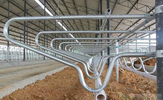 El sistema flotante de cuello y los bucles flexibles para ganado lechero