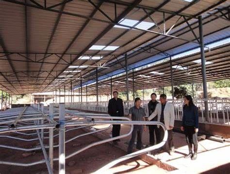El sistema flotante de cuello y los bucles flexibles para ganado lechero