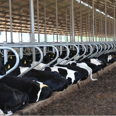 Ubicación del servicio local Ninguno Proceso de soldadura utilizado para soluciones de equipos de cría lechera