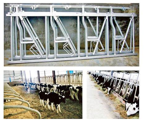 Ampliamente utilizado cerco de ganado de acero galvanizado con acabado de pintura de color en Hebei Nanfeng